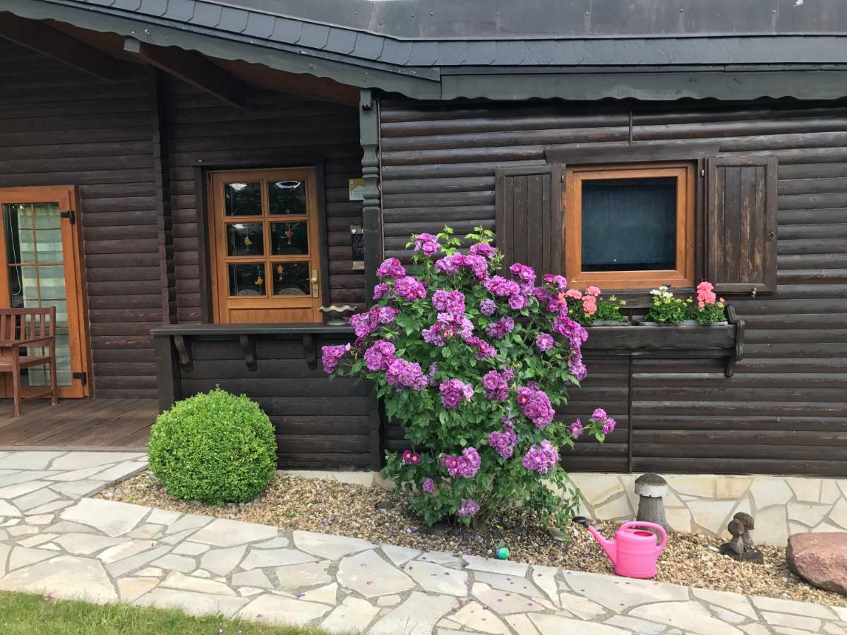 Вілла Holzhaus Harz Schielo Екстер'єр фото